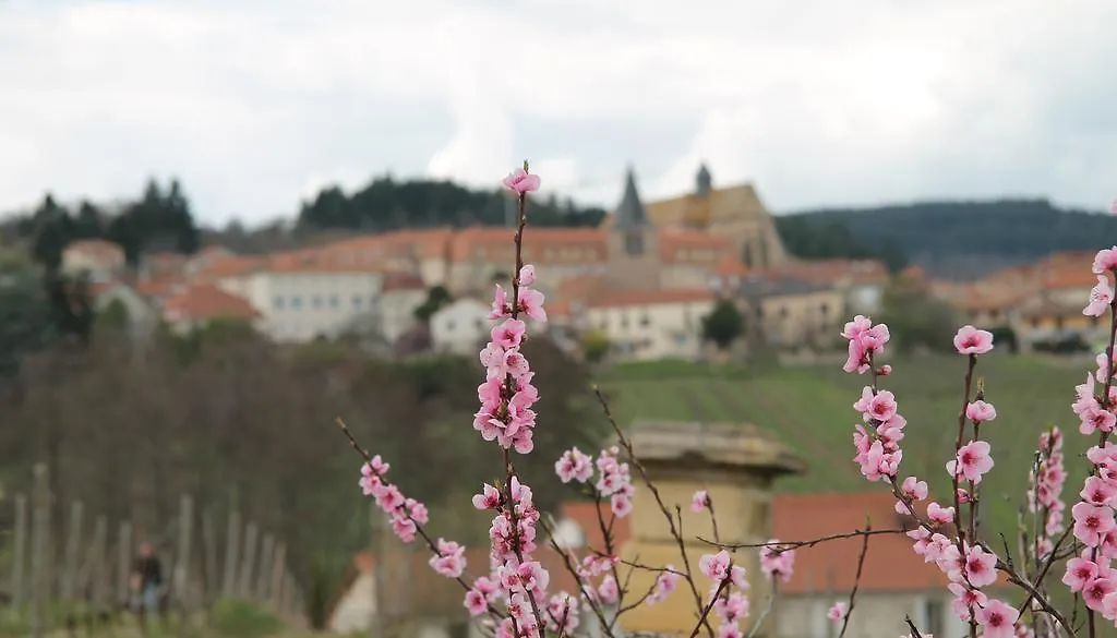 Gites Le Lancelot Ambierle